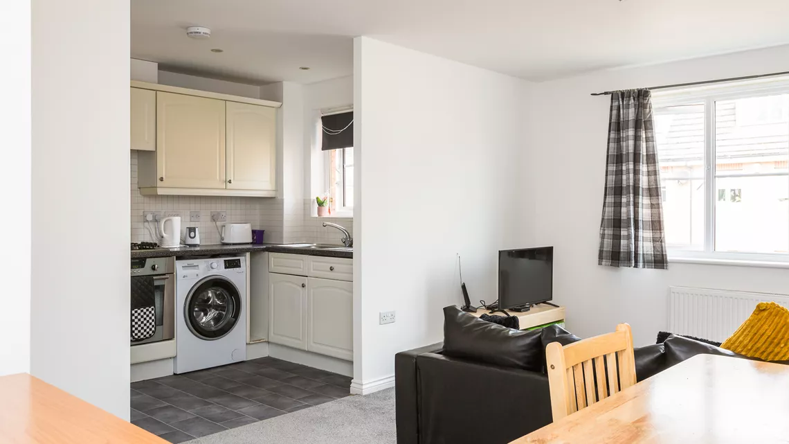 Bespoke Flat Kitchen/Living Area